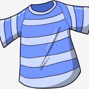 تیشرت
